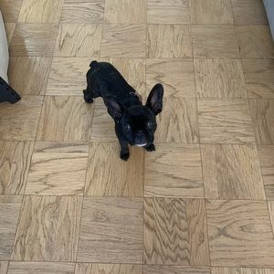 Meet your Posher, Alexandra